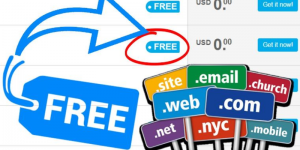 Vì sao không nên sử dụng tên miền miễn phí?