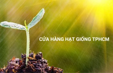 cửa hàng hạt giống tphcm