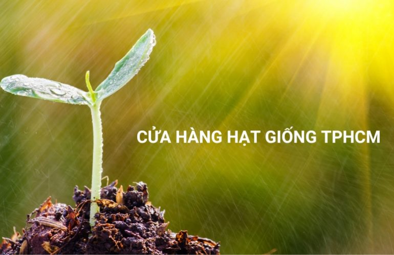 Top 5 Cửa Hàng Hạt Giống TPHCM Uy Tín Và Giá Tốt Nhất Hiện Nay