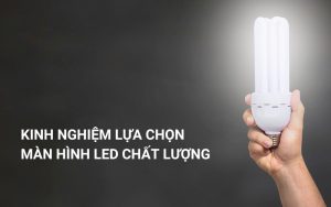 kinh nghiệm lựa chọn mua màn hình led