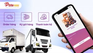 đơn vị nhập hàng trung quốc uy tín Ptite