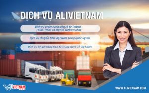 công ty ali việt nam