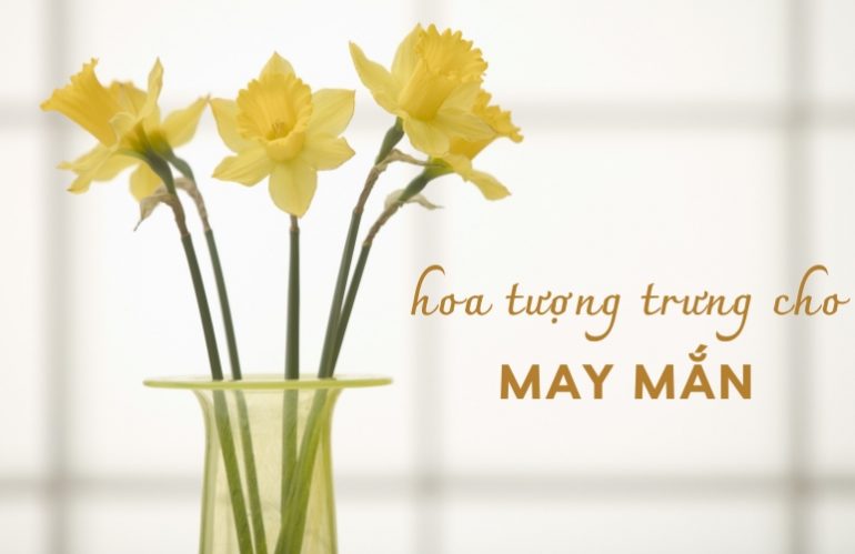 TOP 10 Loài Hoa Tượng Trưng Cho May Mắn, Thu Hút Tài Lộc Và Vận Khí Tốt