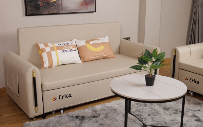 đơn vị kinh doanh sofa erica