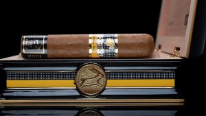 đối tượng phù hợp với xì gà siglo 6