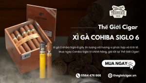 mua xì gà cohiba siglo 6