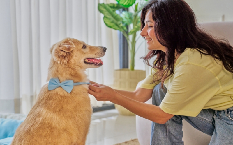 Video vui nhộn về thú cưng